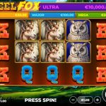 Reel Fox Slot Game