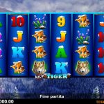 A Roaring Adventure: Everything You Need to Know About Wild Tiger Slot